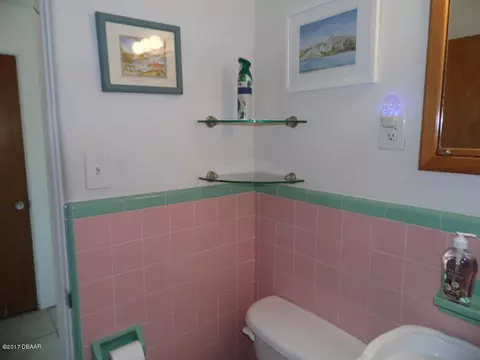 39 Seacrest Dr, Ormond Beach, FL 32176 photo 30