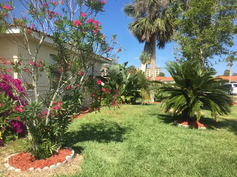 19 Oriole Cir #C, Ormond Beach, FL 32176 photo 30