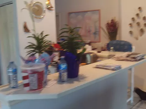 33 Capistrano Dr, Ormond Beach, FL 32176 photo 8