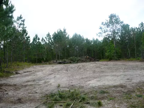 3261 Relay Rd, Ormond Beach, FL 32174 photo 6