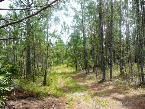 3261 Relay Rd, Ormond Beach, FL 32174 photo 3