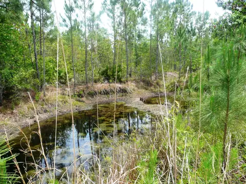 3261 Relay Rd, Ormond Beach, FL 32174 photo 8