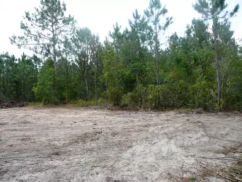 3261 Relay Rd, Ormond Beach, FL 32174 photo 5