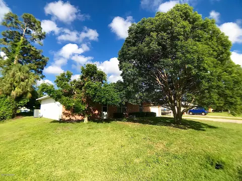 3203 Victory Palm Dr, Edgewater, FL 32141 photo 3