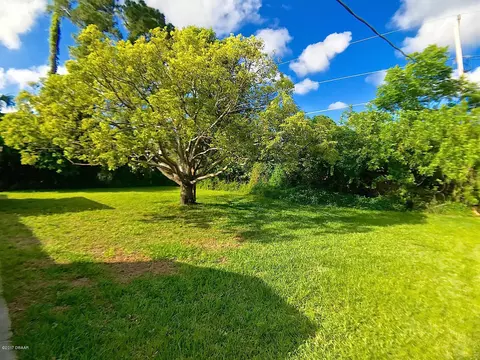 3203 Victory Palm Dr, Edgewater, FL 32141 photo 7