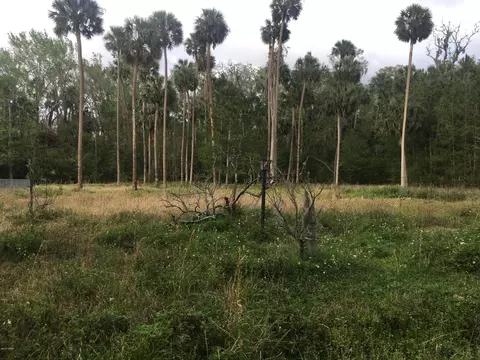 24335 Fox Rd, Astor, FL 32102 photo 3