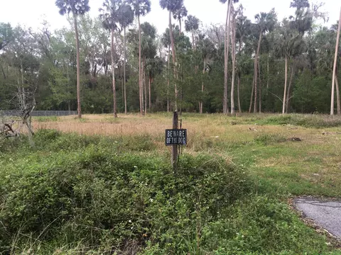 24335 Fox Rd, Astor, FL 32102 photo 2
