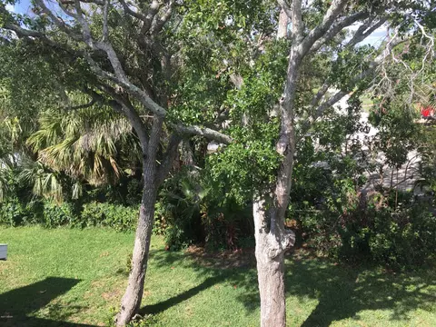 858 N Halifax Dr, Ormond Beach, FL 32176 photo 38