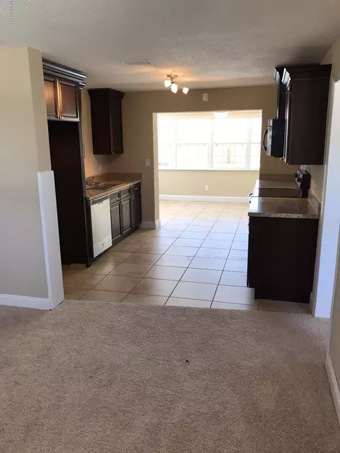 20 Palm Dr, Ormond Beach, FL 32176 photo 4
