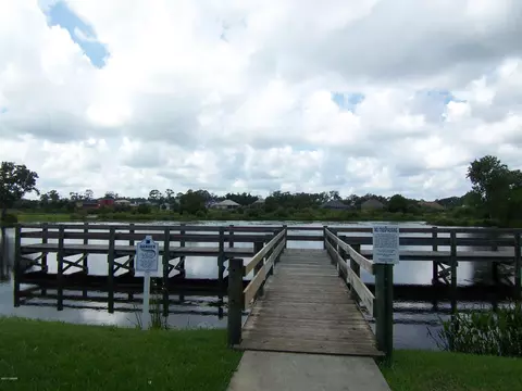 18 Flowertree Dr, Ormond Beach, FL 32174 photo 39