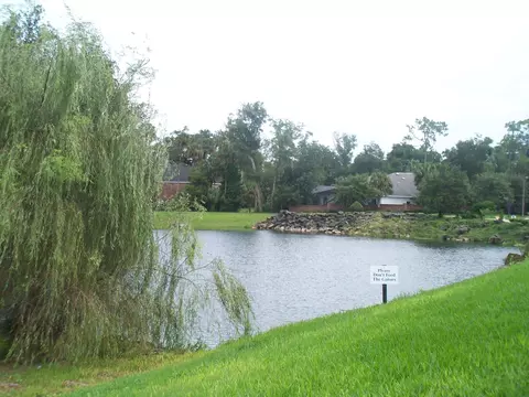 18 Flowertree Dr, Ormond Beach, FL 32174 photo 40