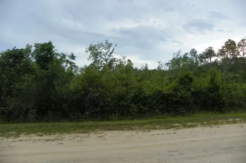 1270 Elder St, Bunnell, FL 32110 photo 1