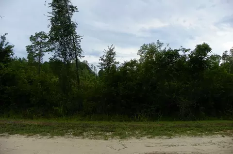 1270 Elder St, Bunnell, FL 32110 photo 7