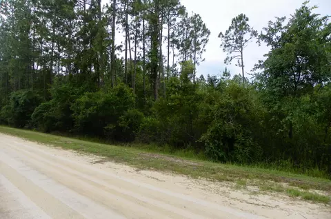 1270 Elder St, Bunnell, FL 32110 photo 3