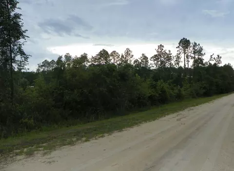 1270 Elder St, Bunnell, FL 32110 photo 4