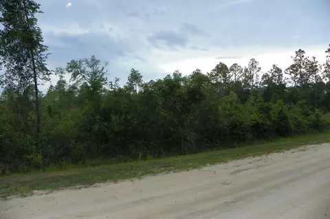 1270 Elder St, Bunnell, FL 32110 photo 2