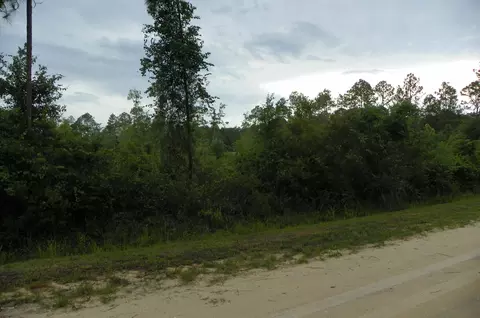 1270 Elder St, Bunnell, FL 32110 photo 5