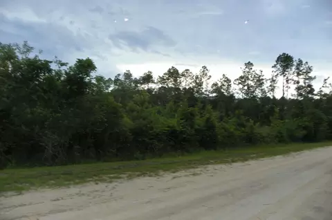 1270 Elder St, Bunnell, FL 32110 photo 6