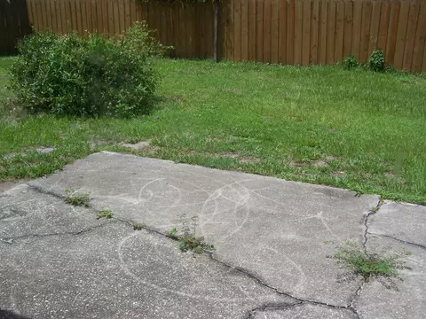 2214 Pine Tree Dr, Edgewater, FL 32141 photo 2