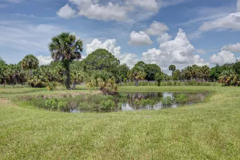 5340 Pine St, Cocoa, FL 32927 photo 23