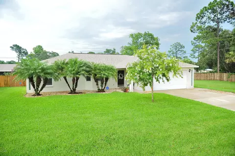 2331 Umbrella Tree Dr, Edgewater, FL 32141 photo 1