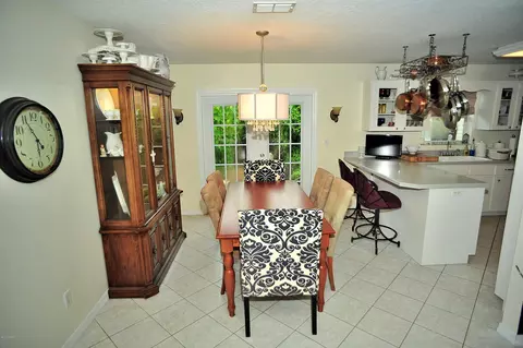 2331 Umbrella Tree Dr, Edgewater, FL 32141 photo 9