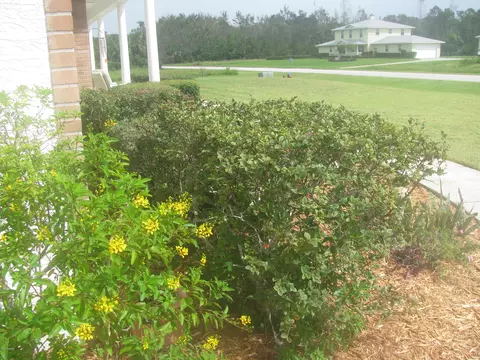 1021 Flying M Ct, Edgewater, FL 32132 photo 37