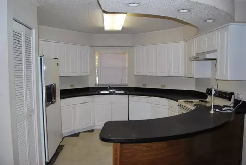 2948 Mango Tree Dr, Edgewater, FL 32141 photo 3