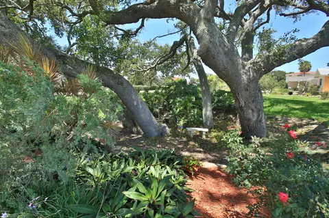 2401 John Anderson Dr, Ormond Beach, FL 32176 photo 4