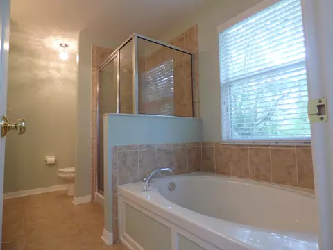 9203 Stone River Pl, Riverview, FL 33578 photo 11