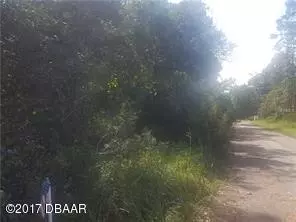 2441 Lipizzan Trl, Ormond Beach, FL 32174 photo 2