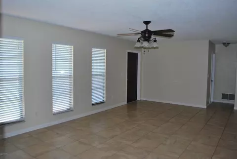 1716 Needle Palm Dr, Edgewater, FL 32132 photo 2