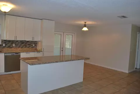 1716 Needle Palm Dr, Edgewater, FL 32132 photo 5