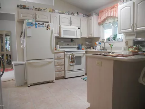 373 Tulip Tree Ln, Ormond Beach, FL 32174 photo 14