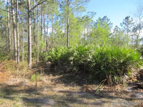 478 Needles Dr, Ormond Beach, FL 32174 photo 6