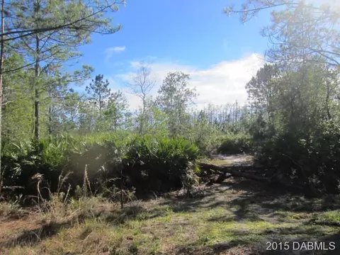 478 Needles Dr, Ormond Beach, FL 32174 photo 7