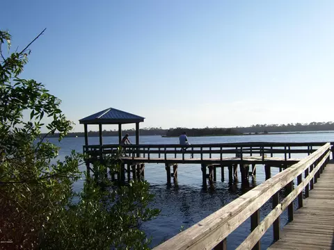 61 Rivocean Dr, Ormond Beach, FL 32176 photo 20