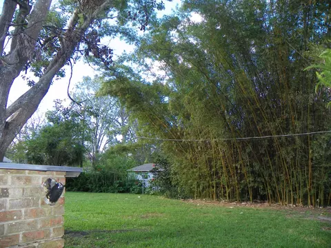 337 Tulip Tree Ln, Ormond Beach, FL 32174 photo 21