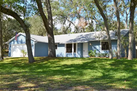 1432 Needle Palm Dr, Edgewater, FL 32132 photo 1