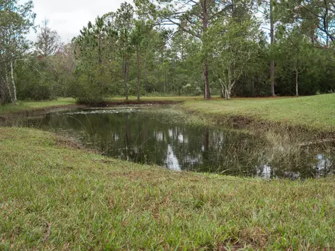 422 Pine Woods Rd, Ormond Beach, FL 32174 photo 44