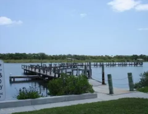 4411 W Indian River Dr, Edgewater, FL 32141 photo 34