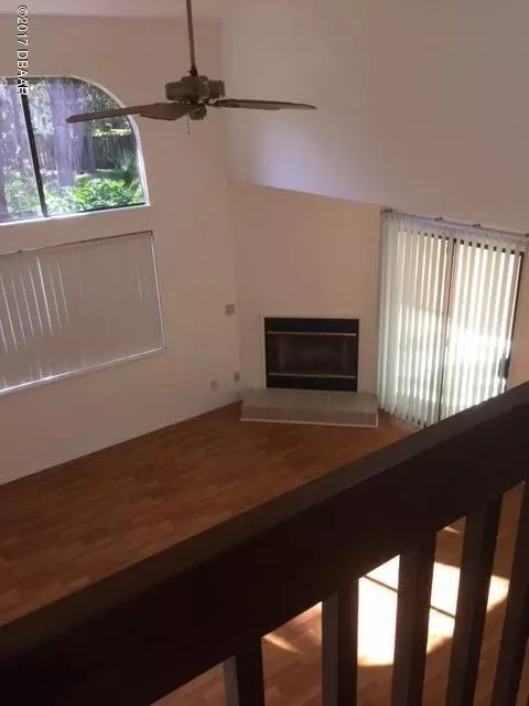 12 Park Ter, Ormond Beach, FL 32174 photo 3