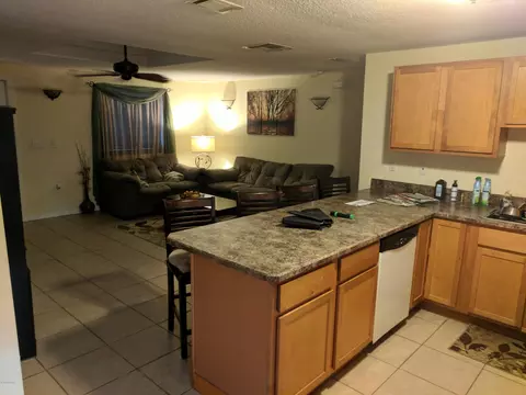 1814 Orange Tree Dr, Edgewater, FL 32132 photo 4
