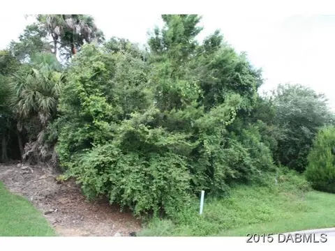 50 Lakecliff Dr, Ormond Beach, FL 32174 photo 6