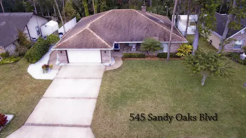 545 Sandy Oaks Blvd, Ormond Beach, FL 32174 photo 1