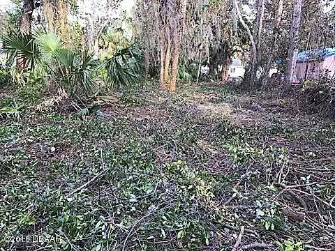230 S Washington St, Ormond Beach, FL 32174 photo 7
