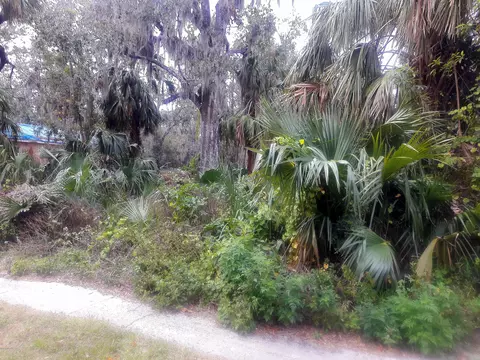 230 S Washington St, Ormond Beach, FL 32174 photo 9