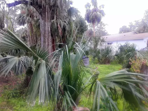 230 S Washington St, Ormond Beach, FL 32174 photo 1
