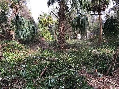 230 S Washington St, Ormond Beach, FL 32174 photo 5