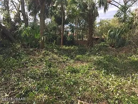 230 S Washington St, Ormond Beach, FL 32174 photo 4